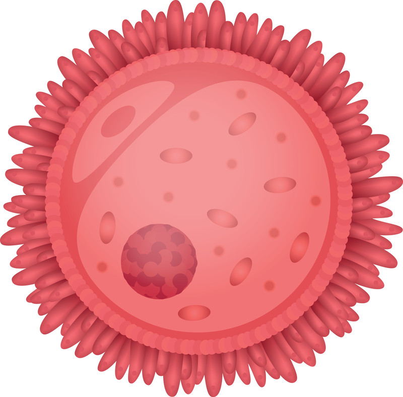 Poor Egg Quality Toronto Infertility Naturopath